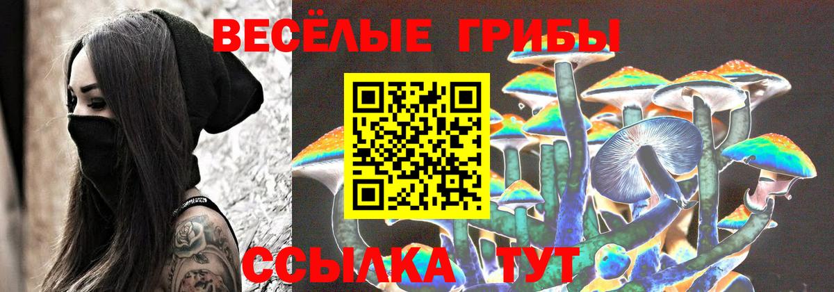 Галлюциногенные грибы Magic Shrooms Шуя